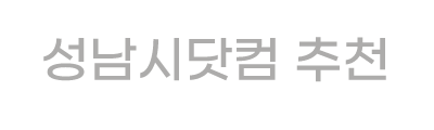 성남시닷컴 성남시닷컴